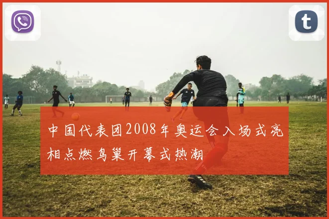 中国代表团2008年奥运会入场式亮相点燃鸟巢开幕式热潮