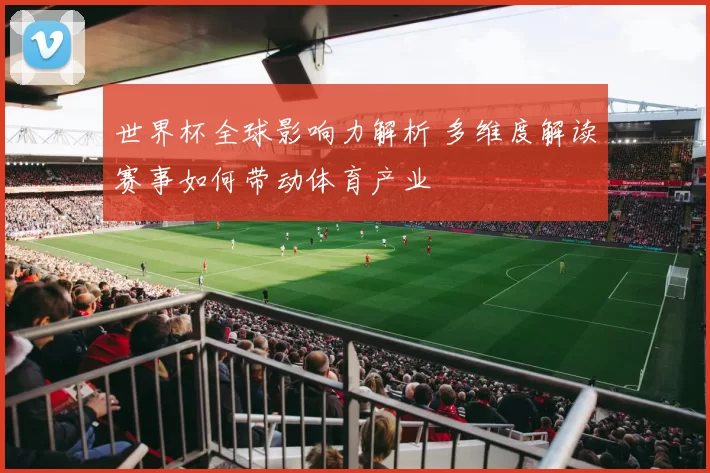 世界杯全球影响力解析 多维度解读赛事如何带动体育产业